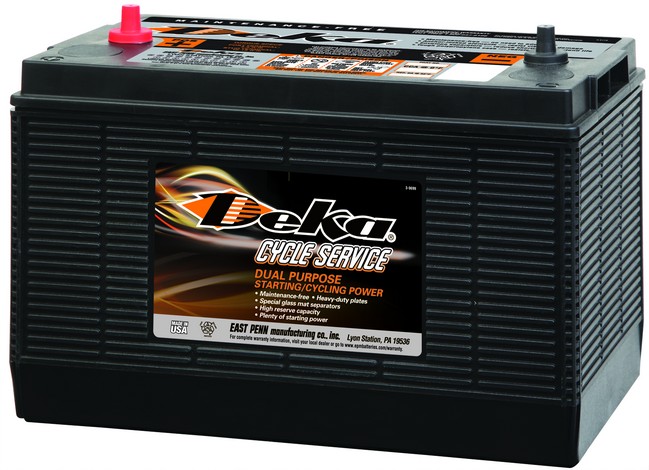 DP31CS Picture